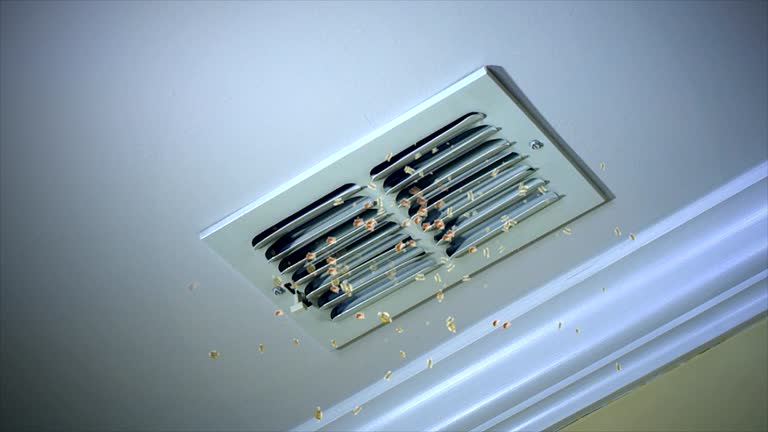 Best Air Duct Cleaning Near Me  in Greenfield, IA
