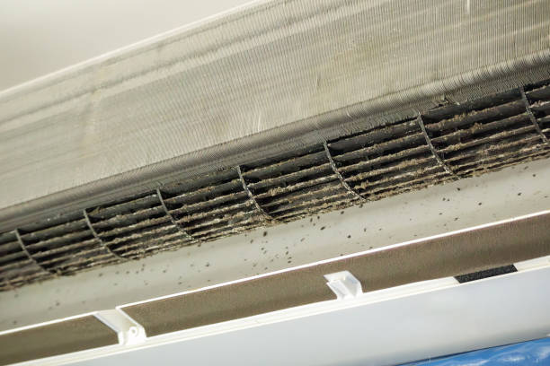 Best Professional Duct Cleaning Services  in Greenfield, IA